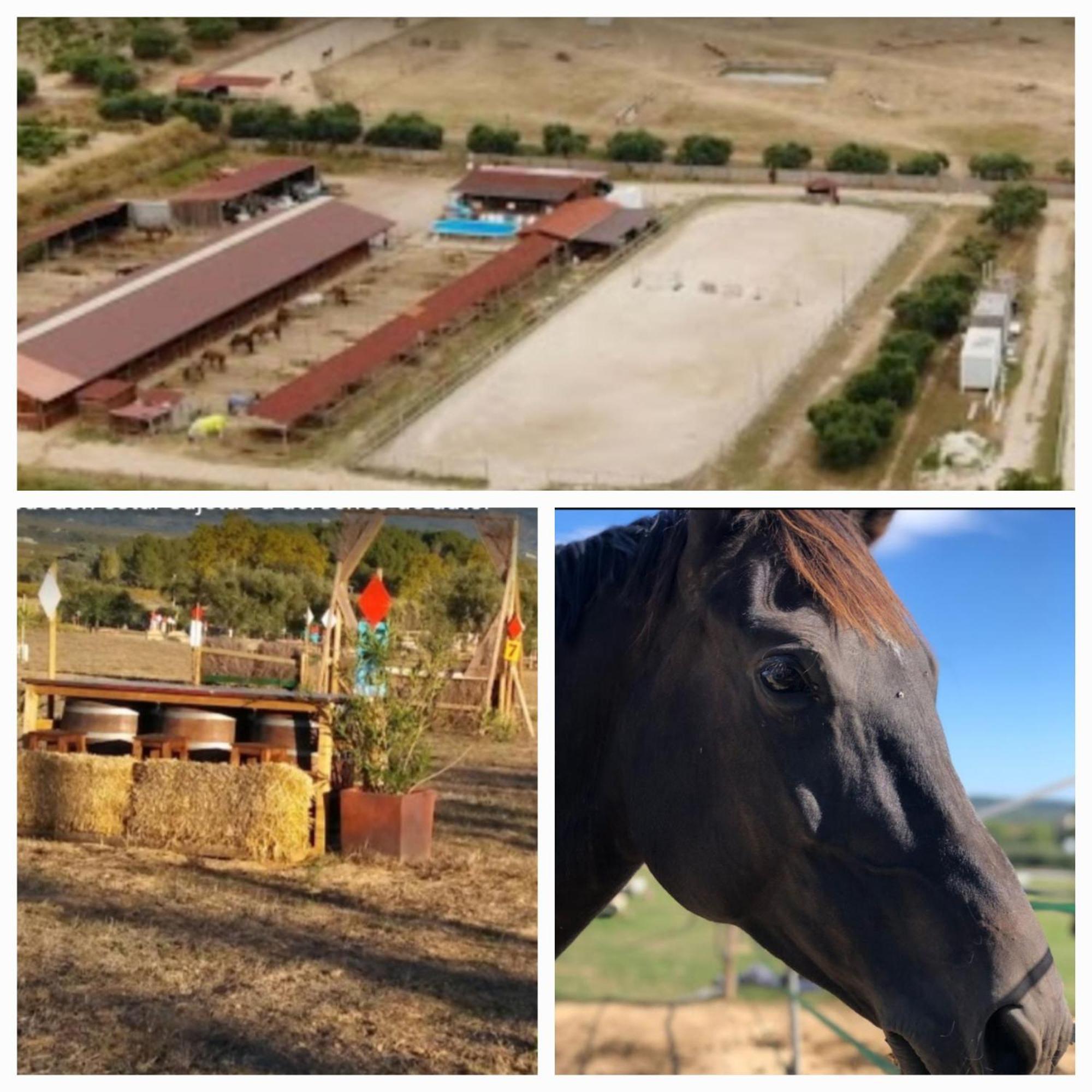 Casa Cal Tofol Villa Font-Rubi Luaran gambar